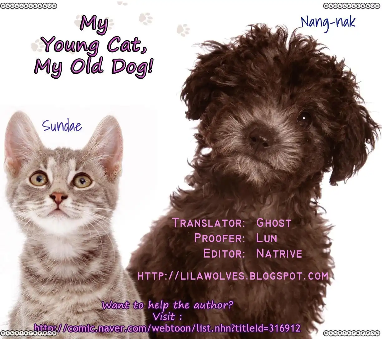 My Young Cat and My Old Dog Chapter 10 5